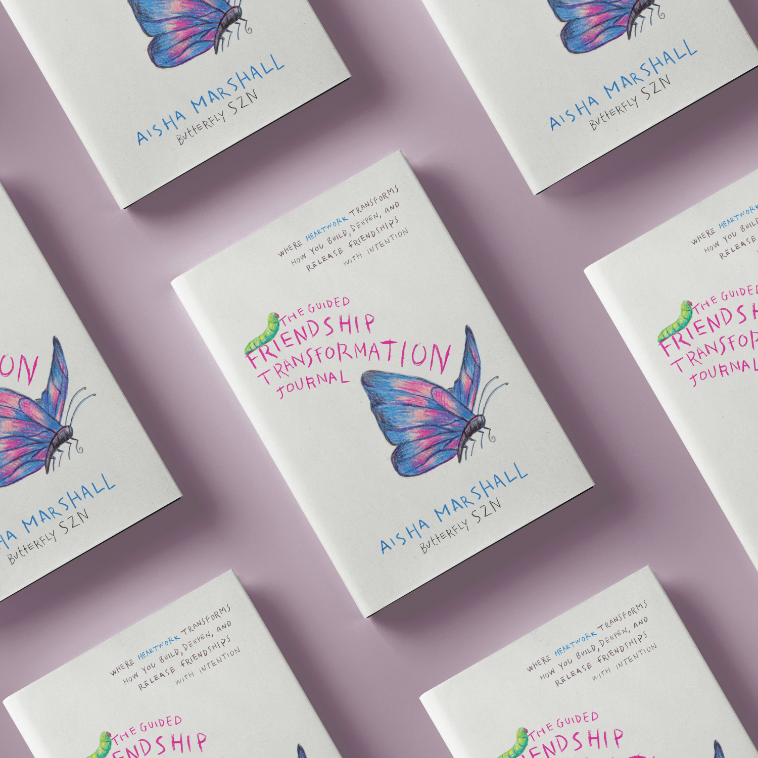 The Guided Friendship Transformation Journal