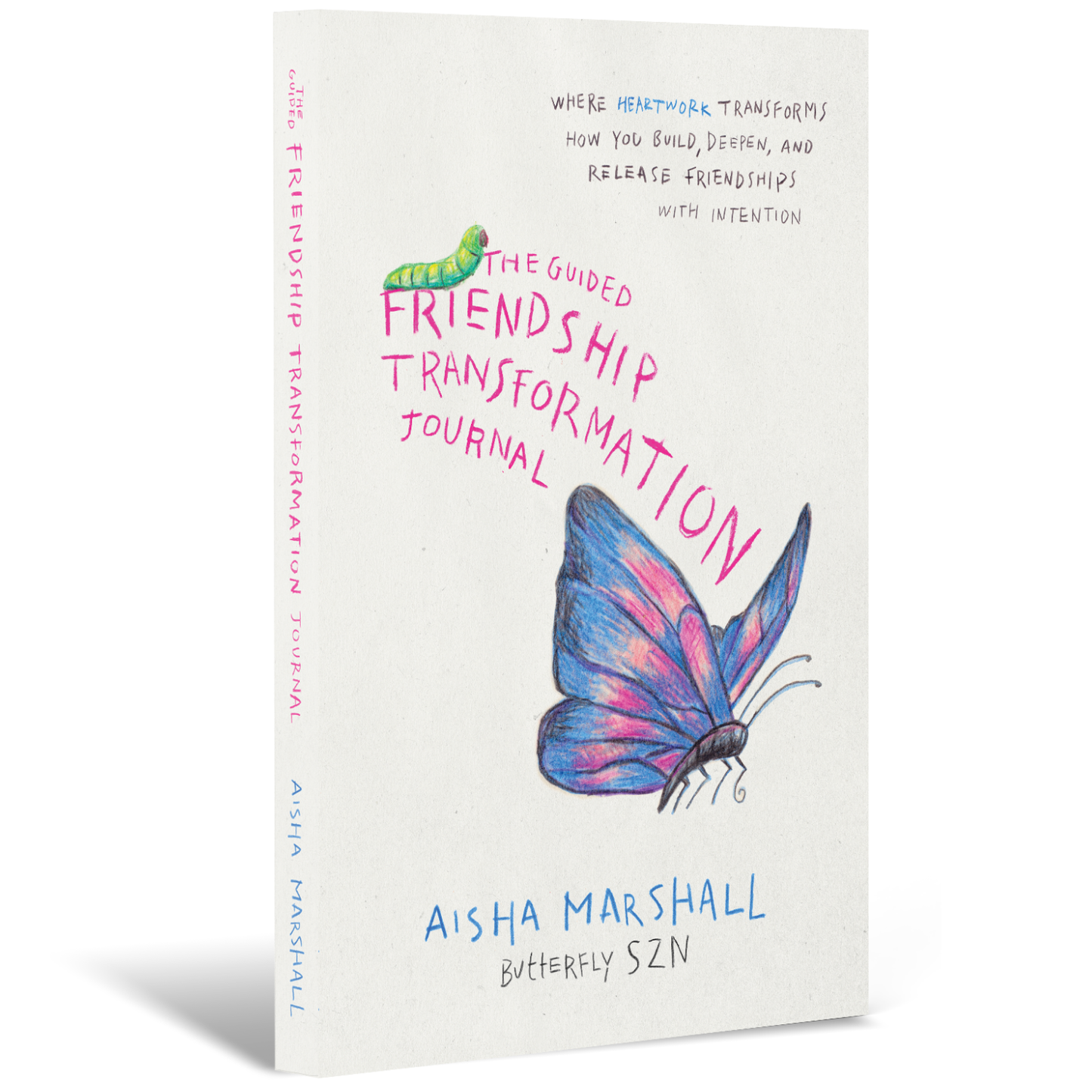 The Guided Friendship Transformation Journal