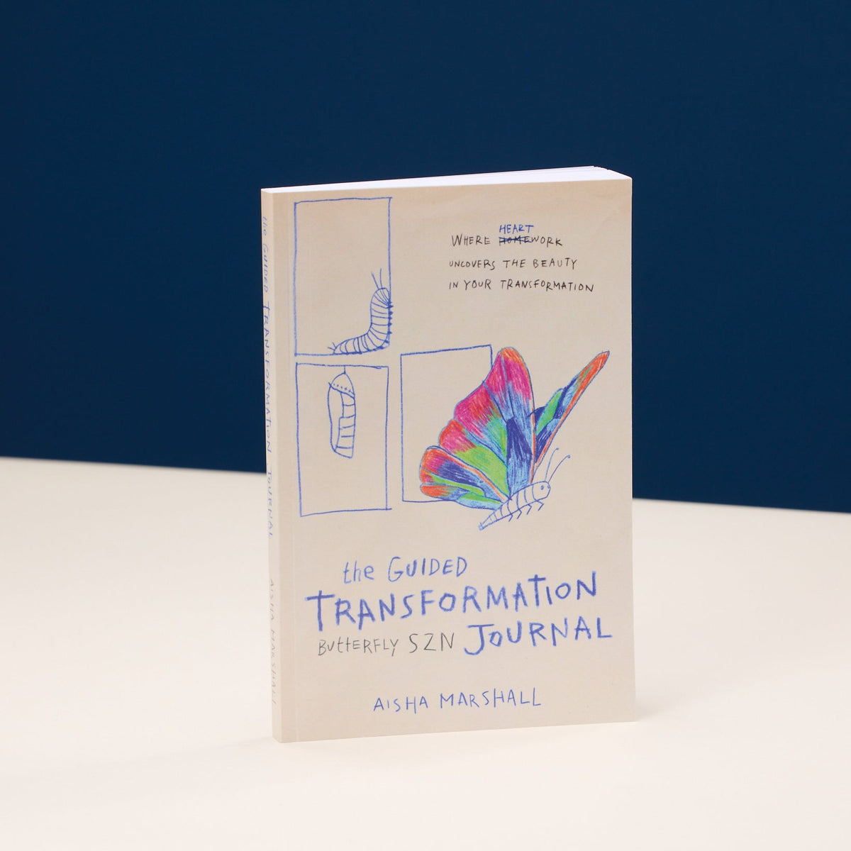 Guided Transformation Journal