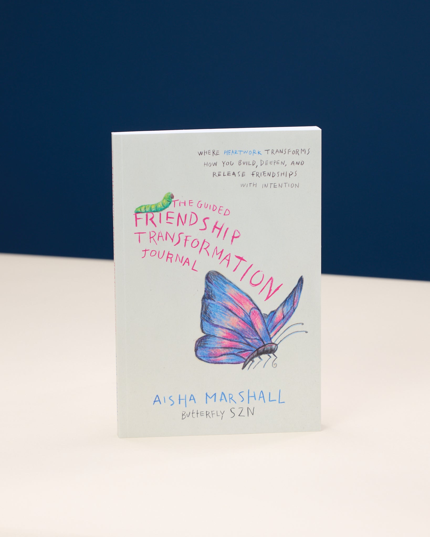 The Guided Friendship Transformation Journal