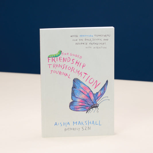 The Guided Friendship Transformation Journal