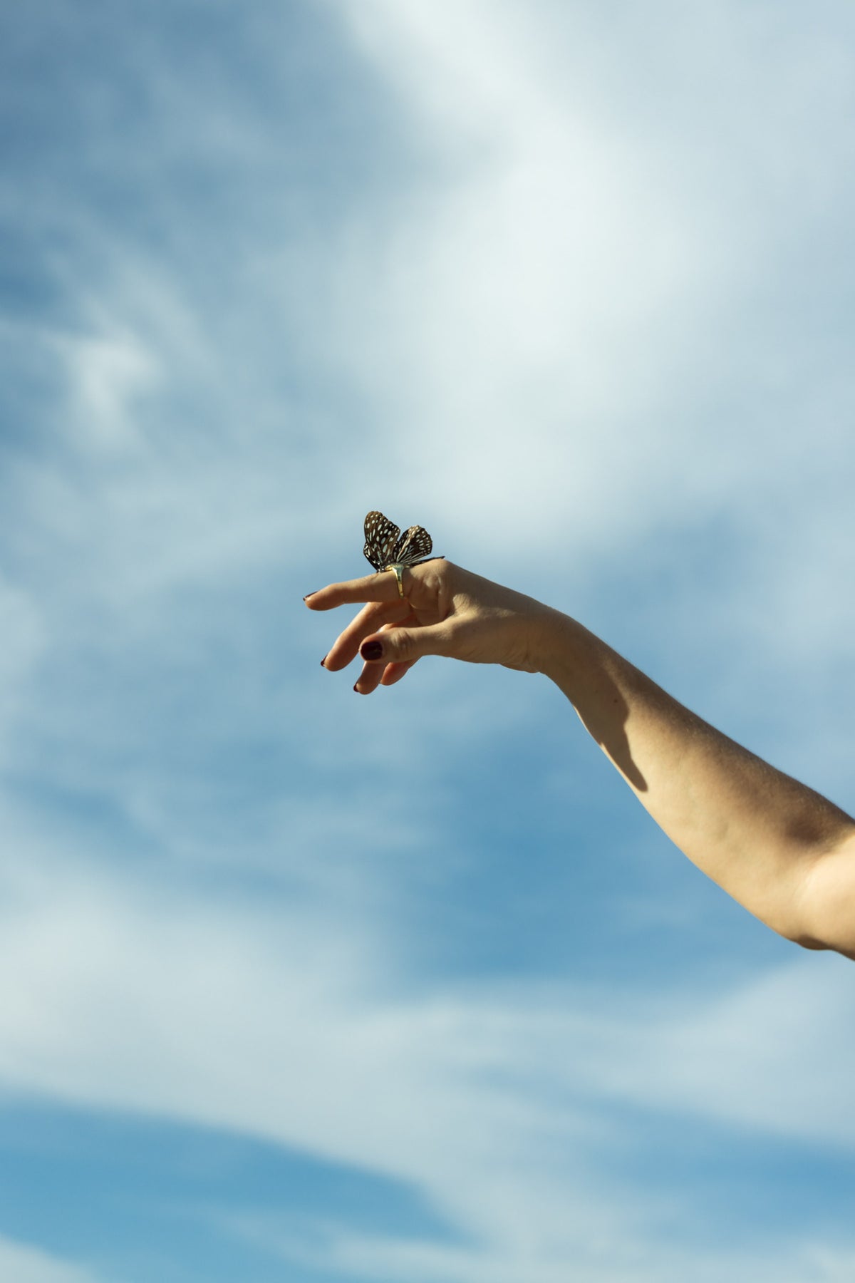 Your butterfly season is the one where the pattern stops.