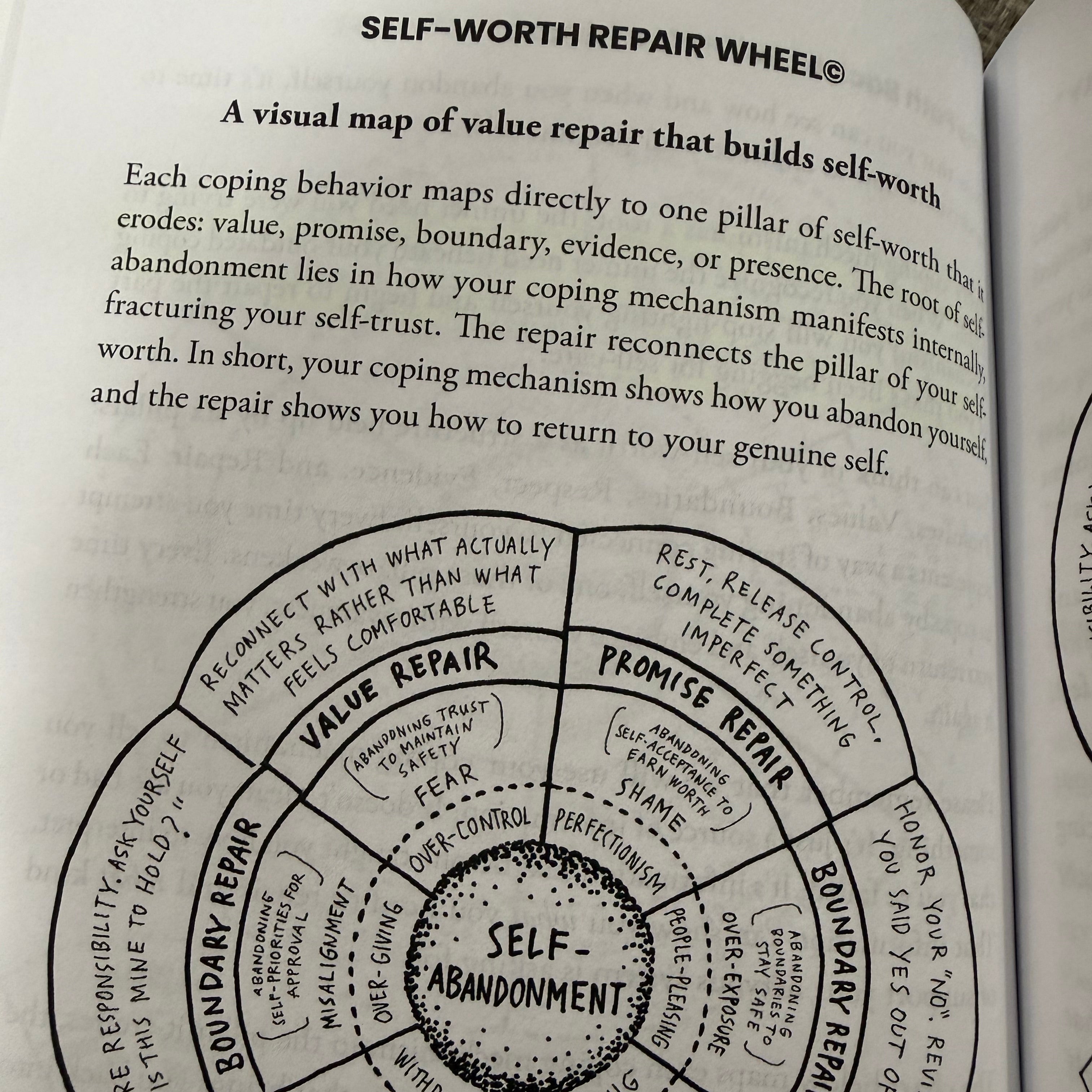 Self-Worth Repair Wheel